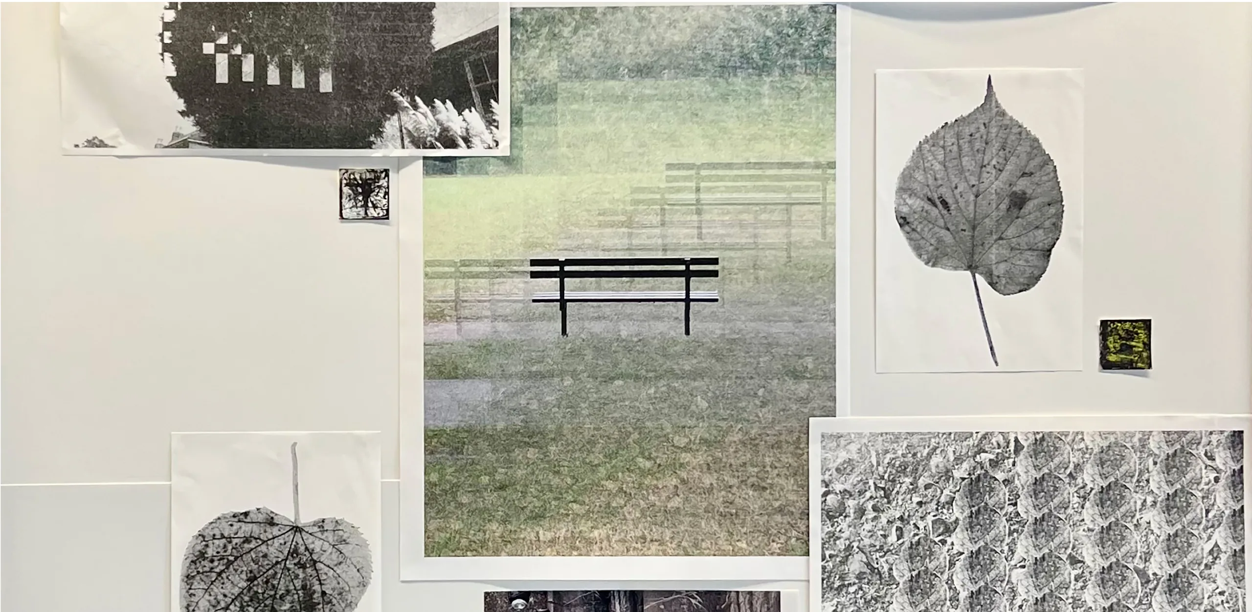 Wall of layered prints for Gravy, Edge, Hill: a park bench, pressed leaves and textured photographic studies