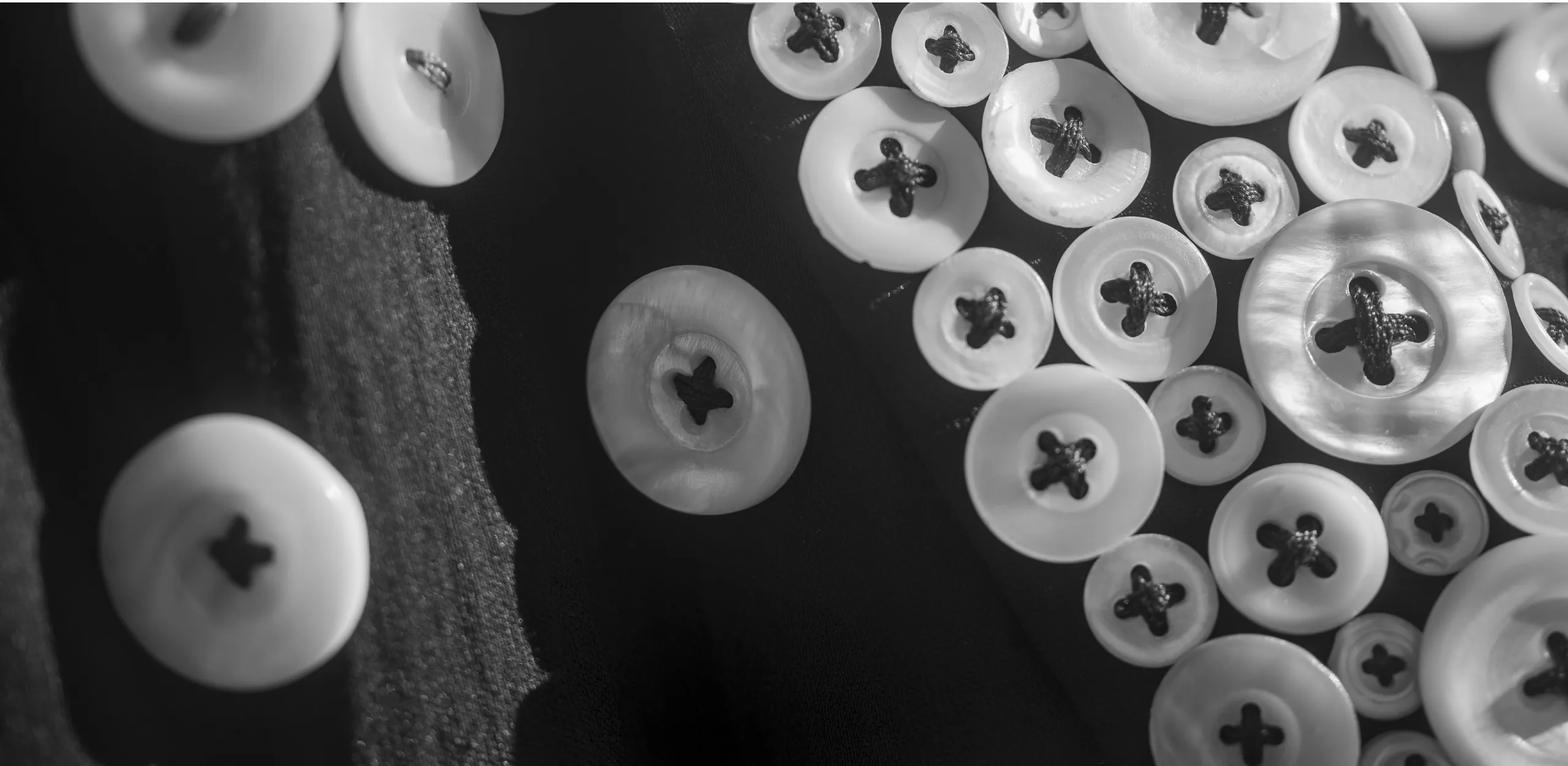 Close-up photograph of mother-of-pearl buttons stitched onto a Pearly suit