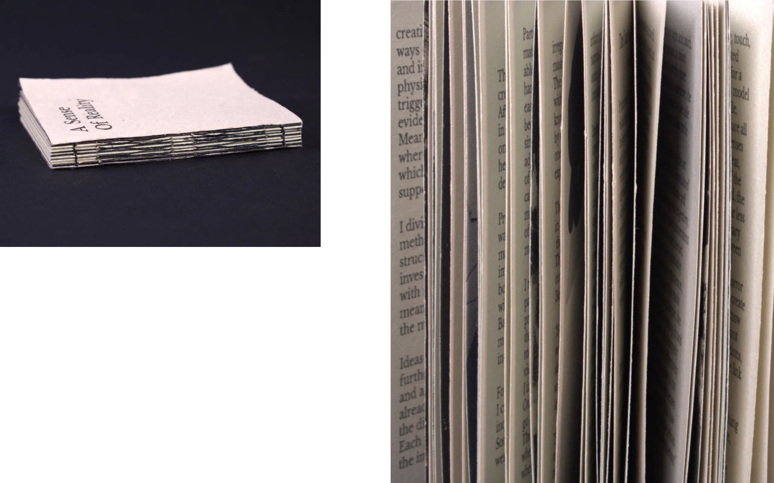 Spreads from A Sense of Reality
